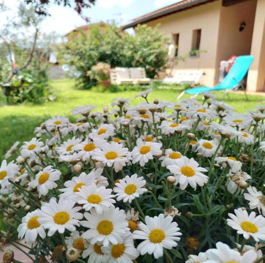 Bnb A La Maison Reggello Exteriör bild