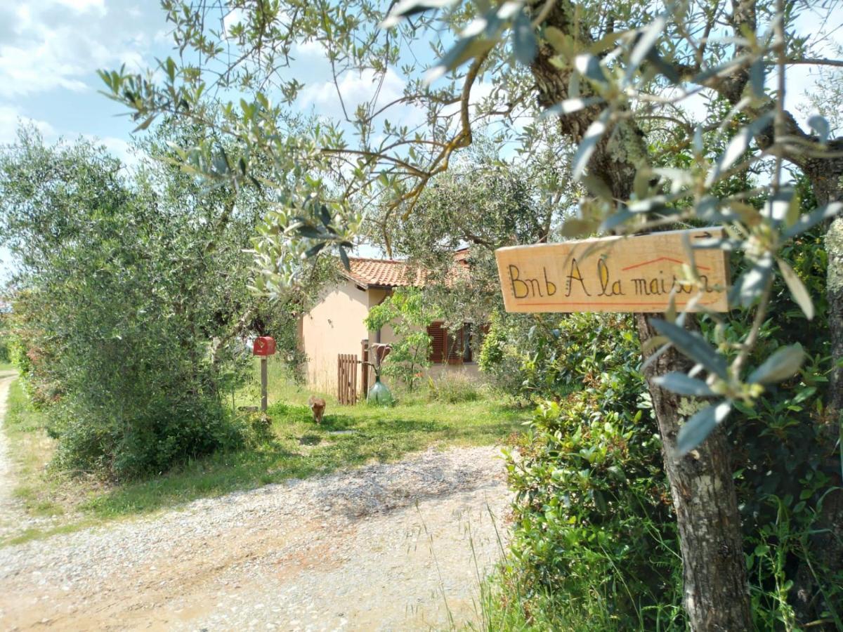 Bnb A La Maison Reggello Exteriör bild