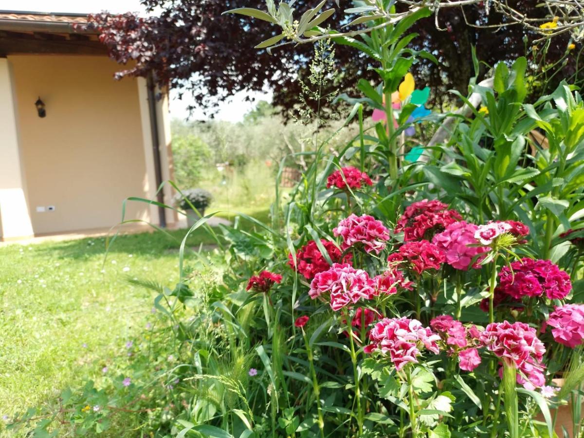 Bnb A La Maison Reggello Exteriör bild